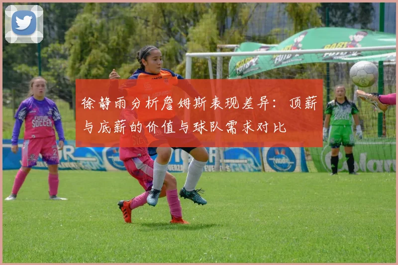 徐静雨分析詹姆斯表现差异：顶薪与底薪的价值与球队需求对比