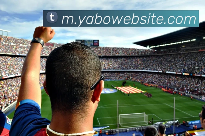 亚博体育APP 体育赛事宣传图